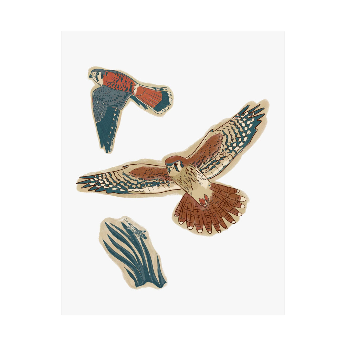 Kestrel Hunt Art Print