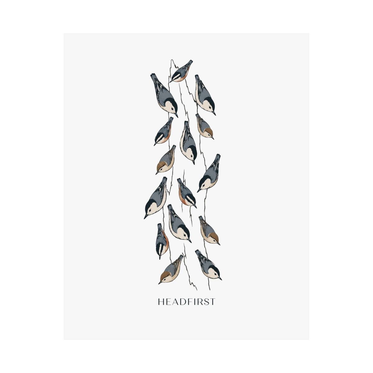 Headfirst Nuthatch Art Print