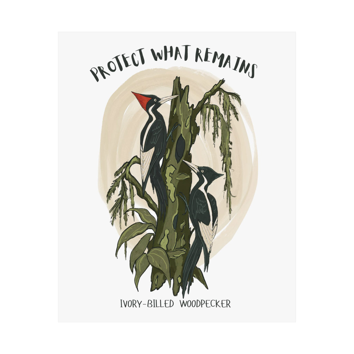 Ivory-billed Woodpecker Art Print