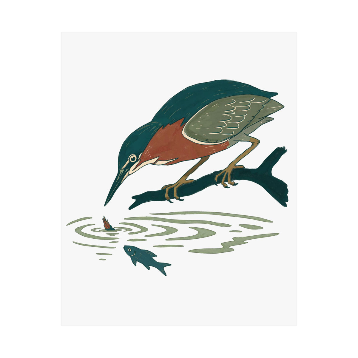 Green Heron Art Print