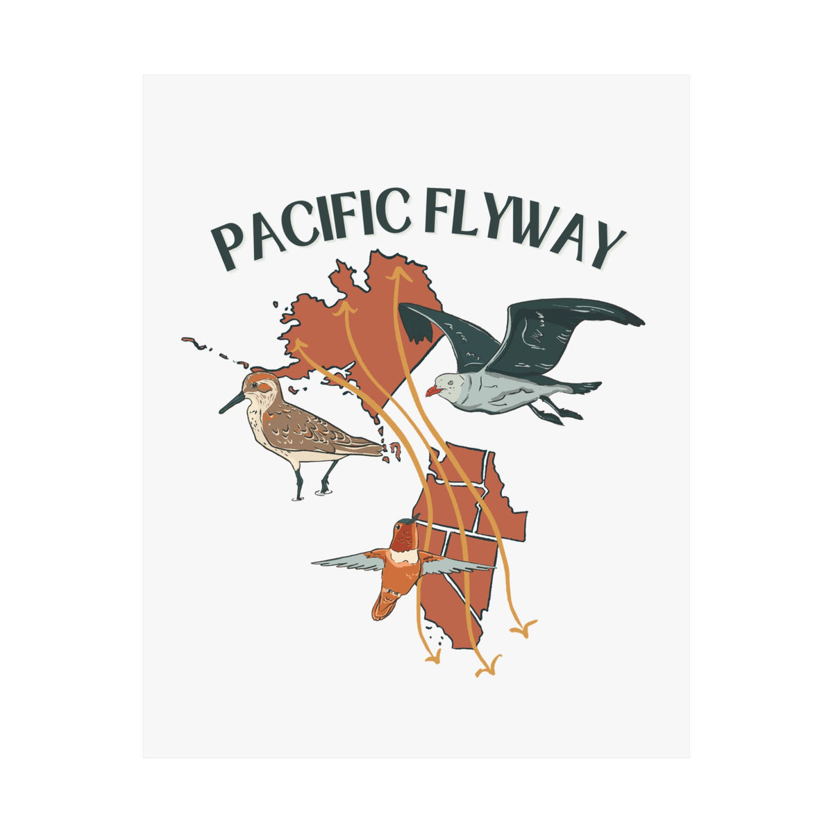 Pacific Flyway Art Print