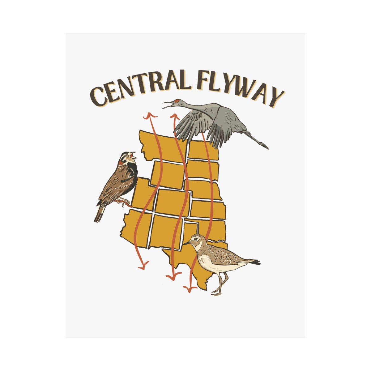 Central Flyway Art Print