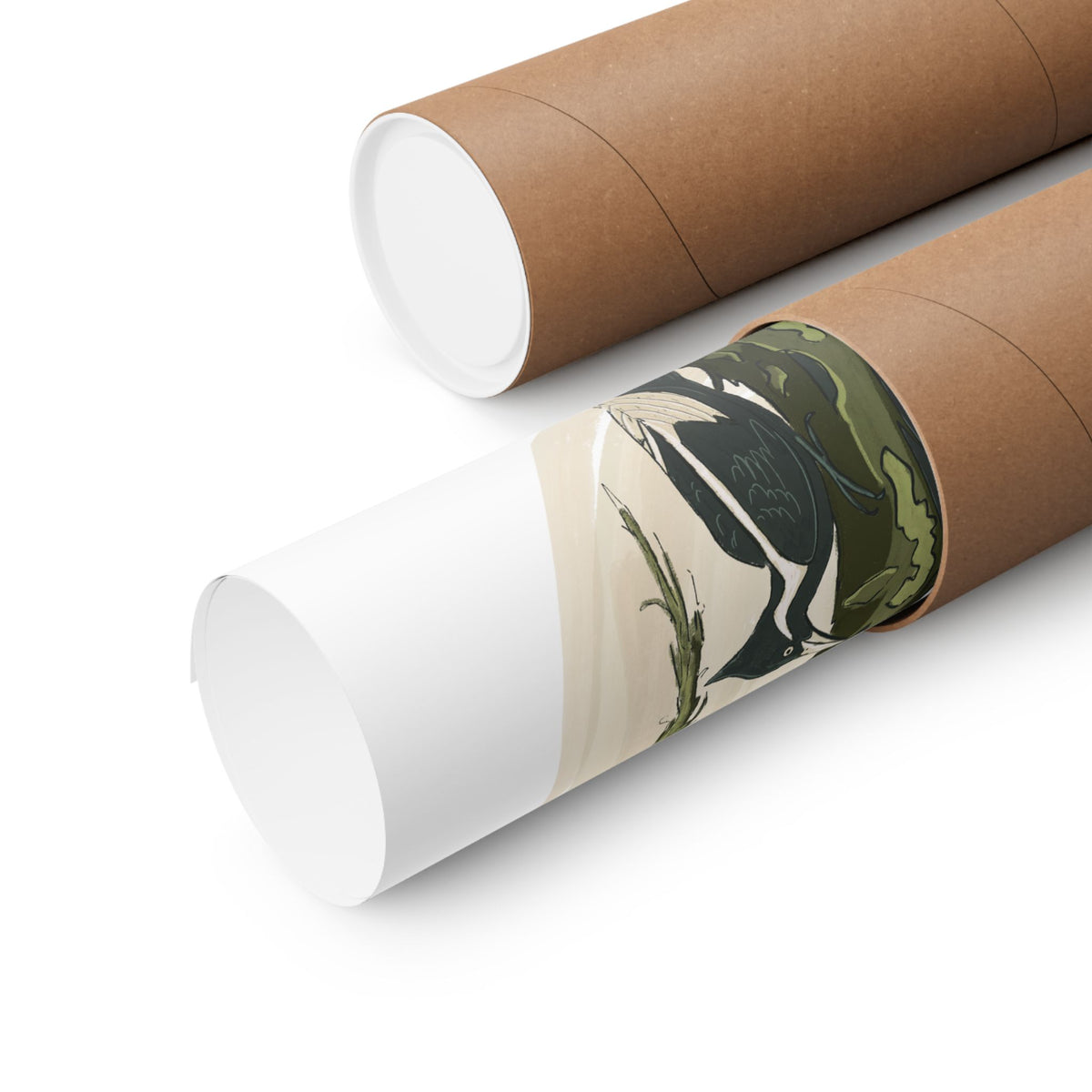 Ivory-billed Woodpecker Art Print