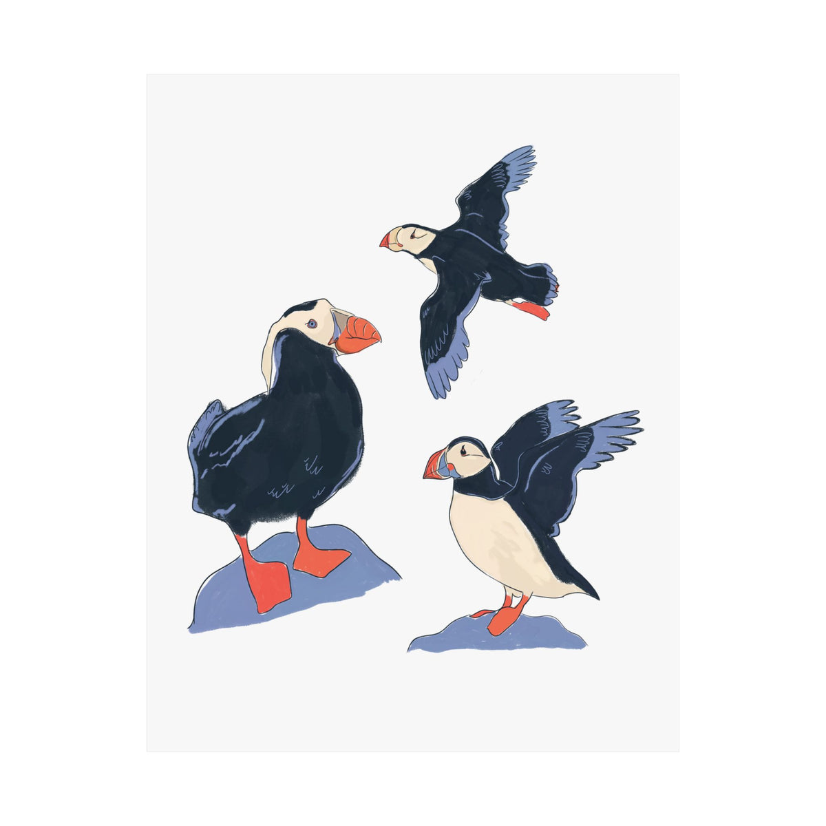 Puffin Trio Art Print