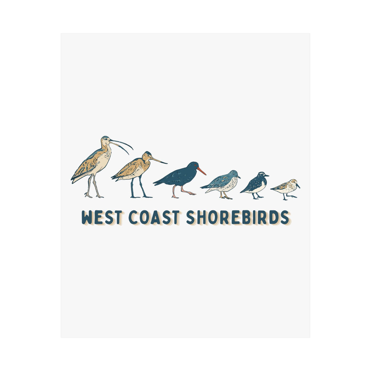 West Coast Shorebirds Art Print