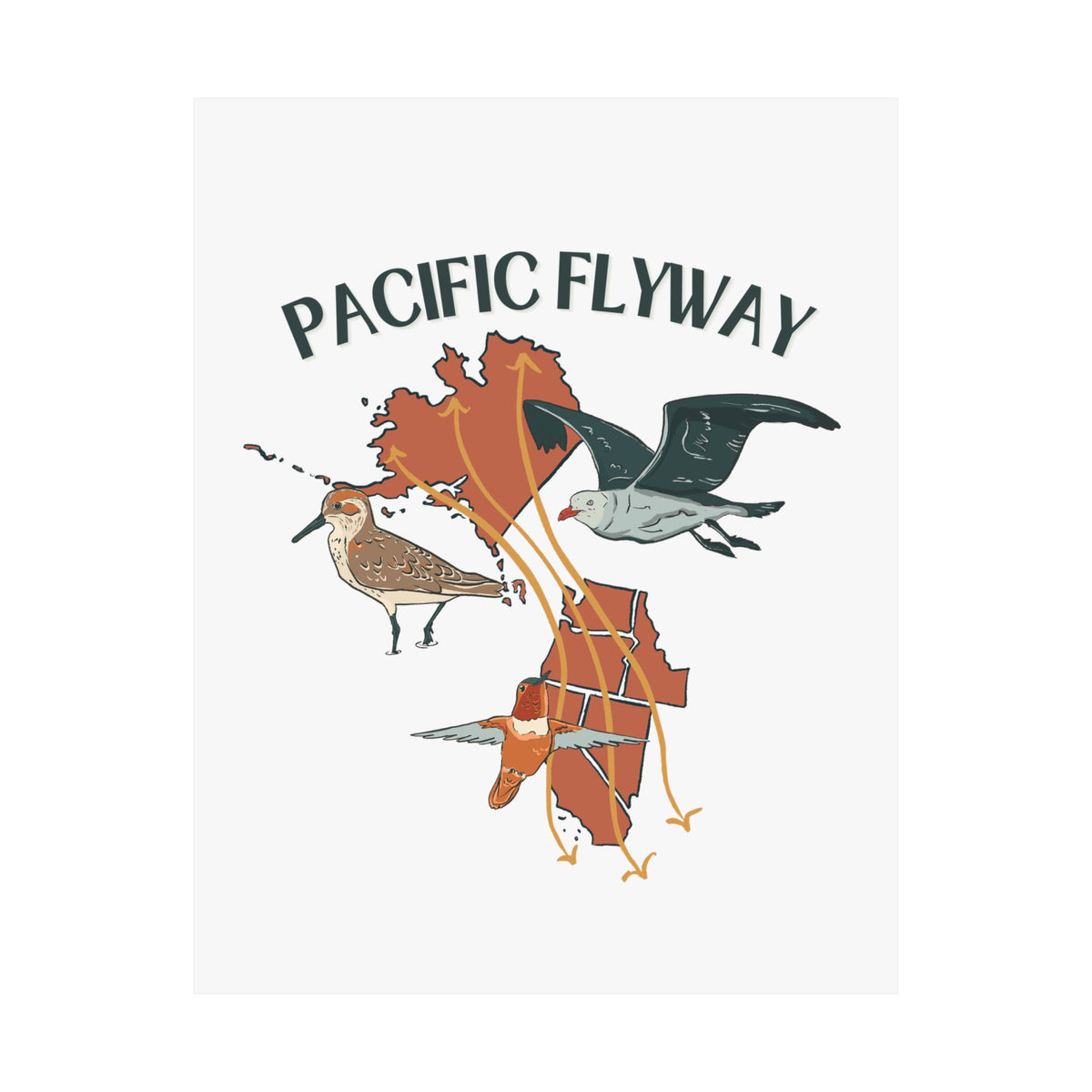 Pacific Flyway Art Print