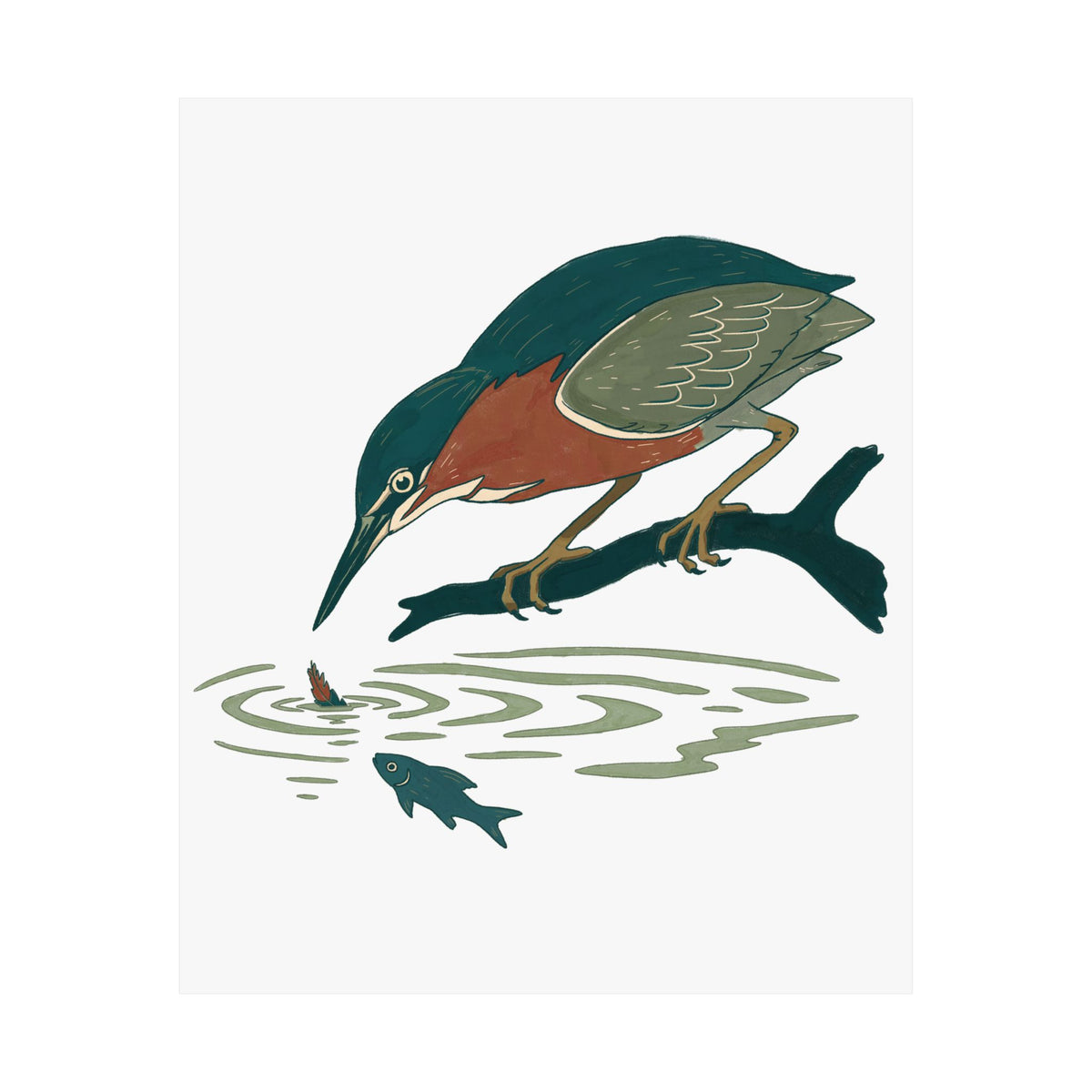 Green Heron Art Print