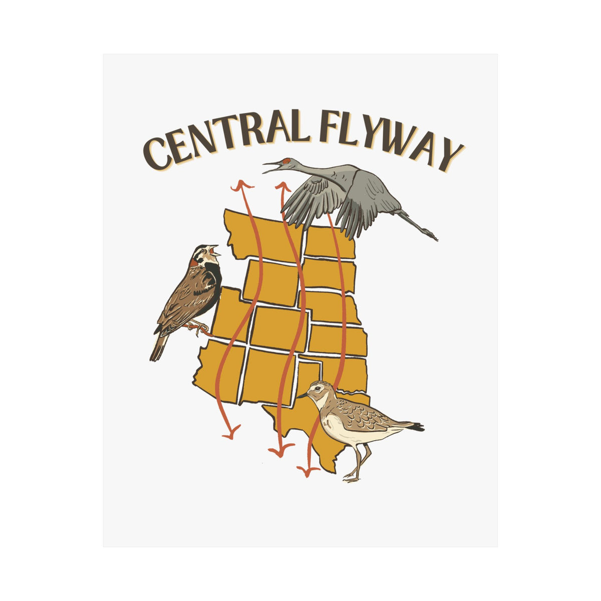 Central Flyway Art Print