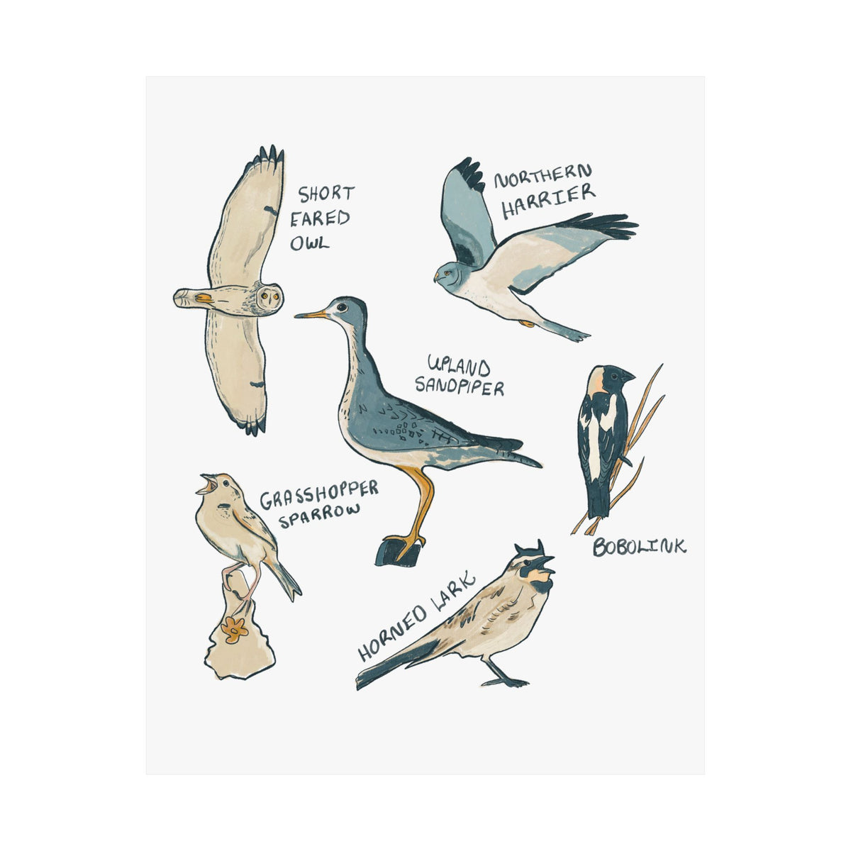 Grassland Birds Art Print