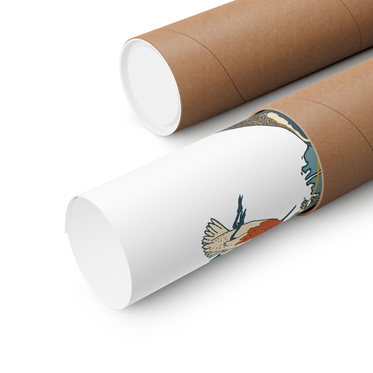 Atlantic Flyway Art Print