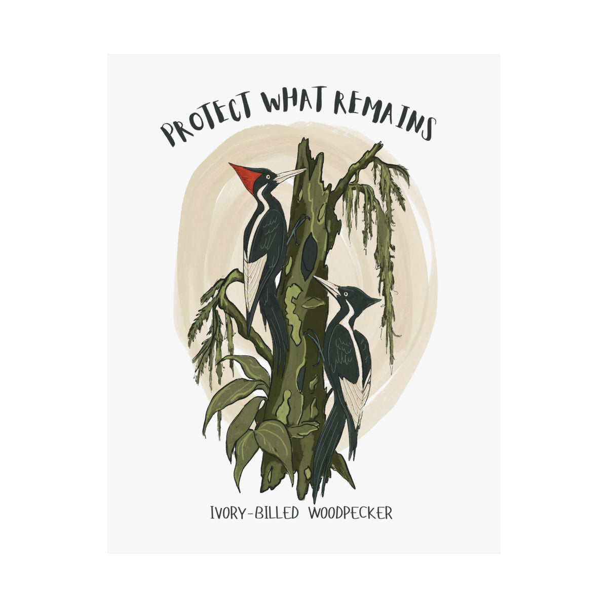 Ivory-billed Woodpecker Art Print