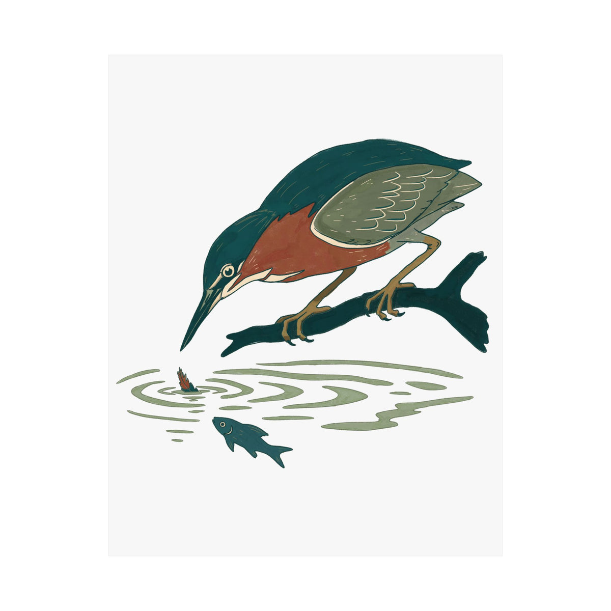 Green Heron Art Print