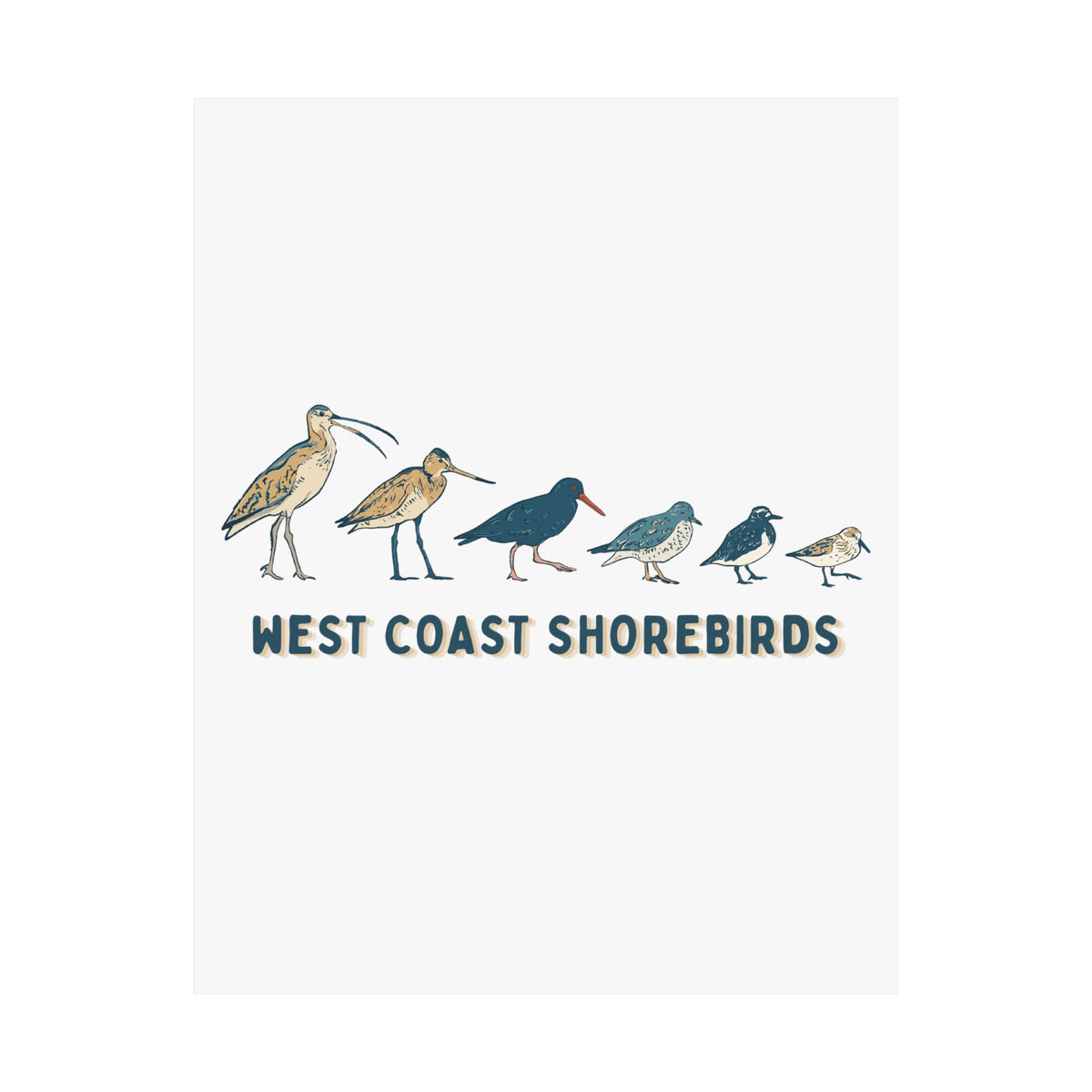 West Coast Shorebirds Art Print