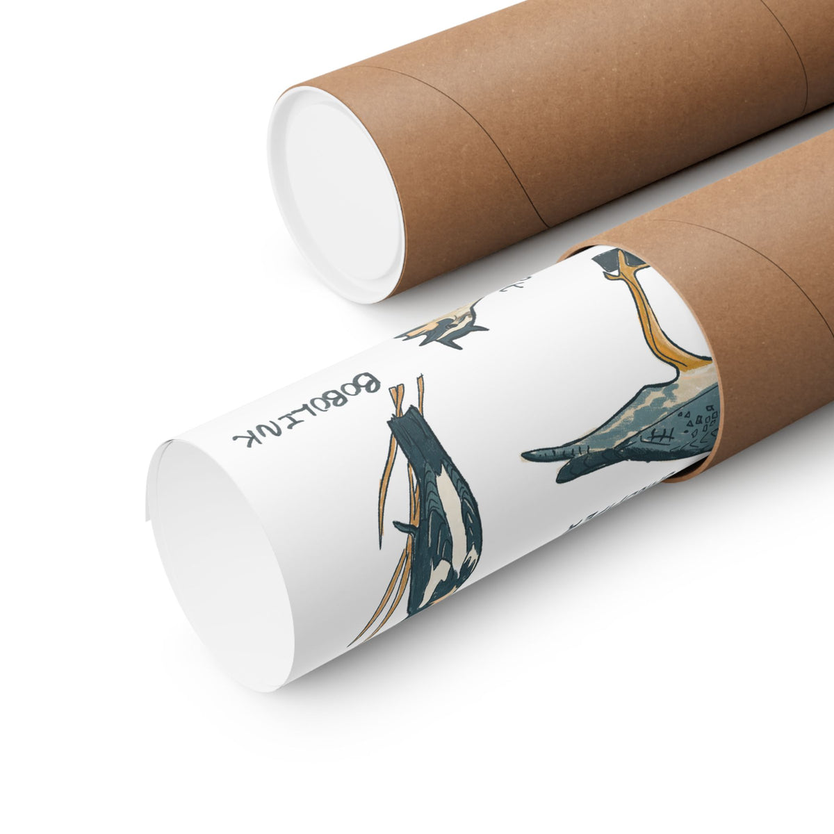 Grassland Birds Art Print