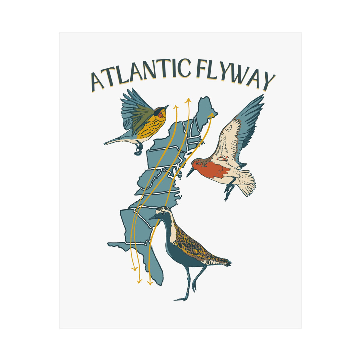 Atlantic Flyway Art Print