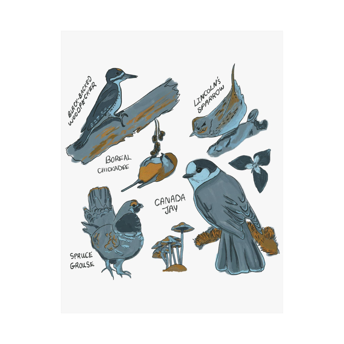 Boreal Birds Art Print
