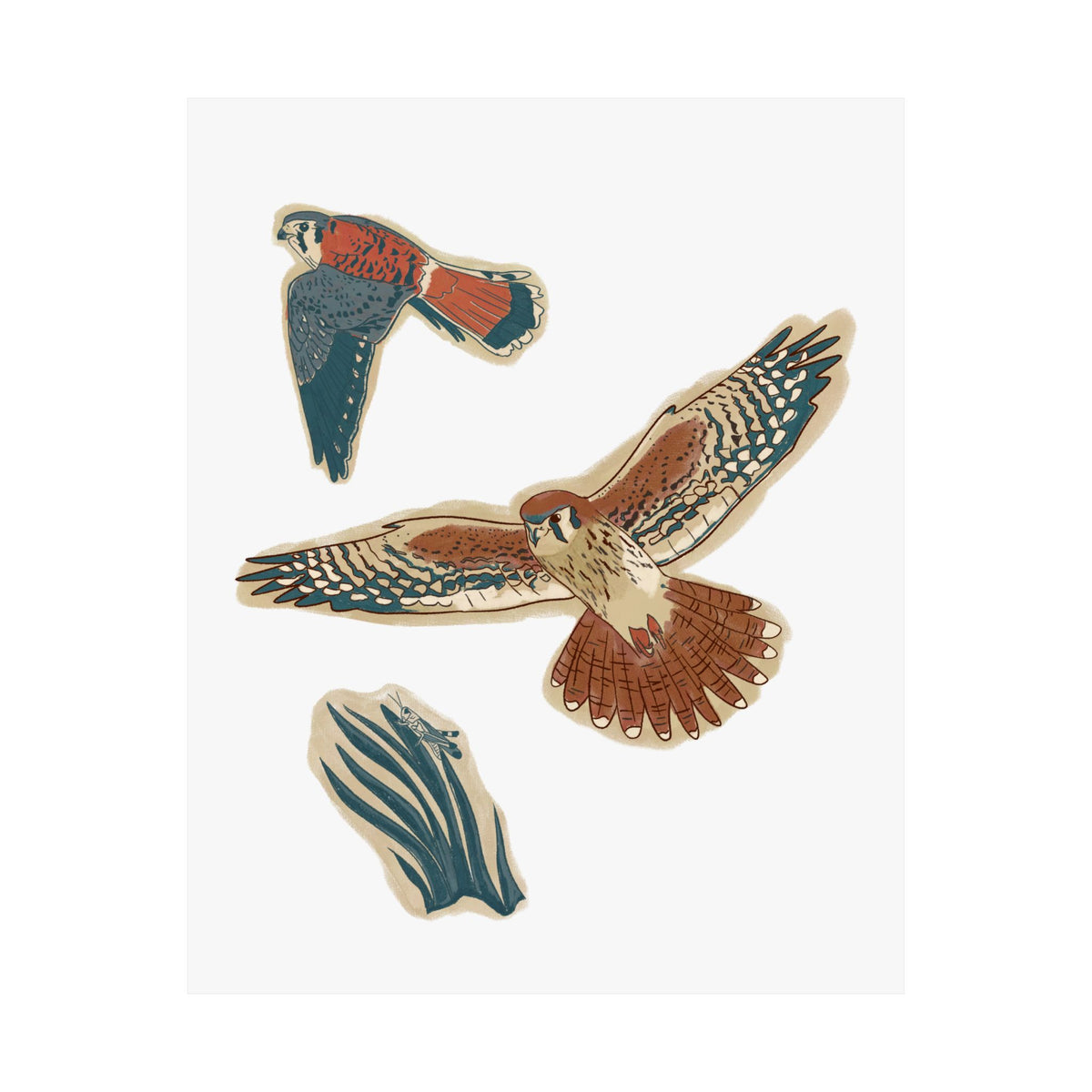 Kestrel Hunt Art Print
