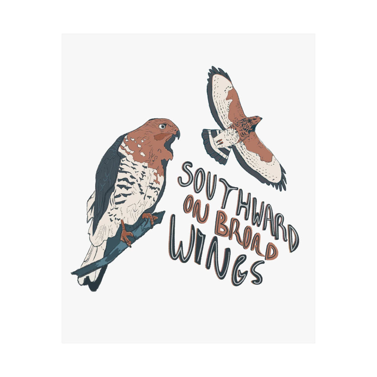 Broad-winged Hawk Art Print