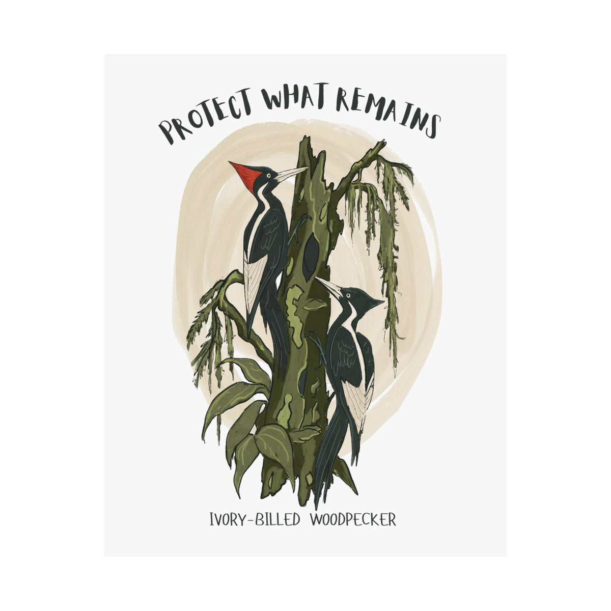 Ivory-billed Woodpecker Art Print