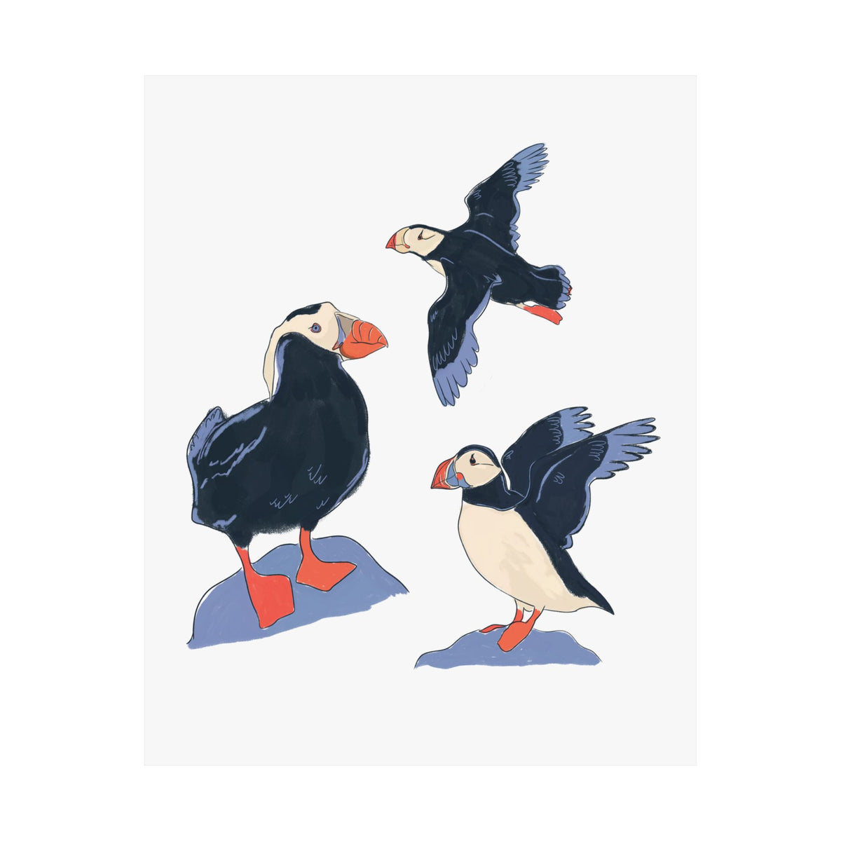 Puffin Trio Art Print