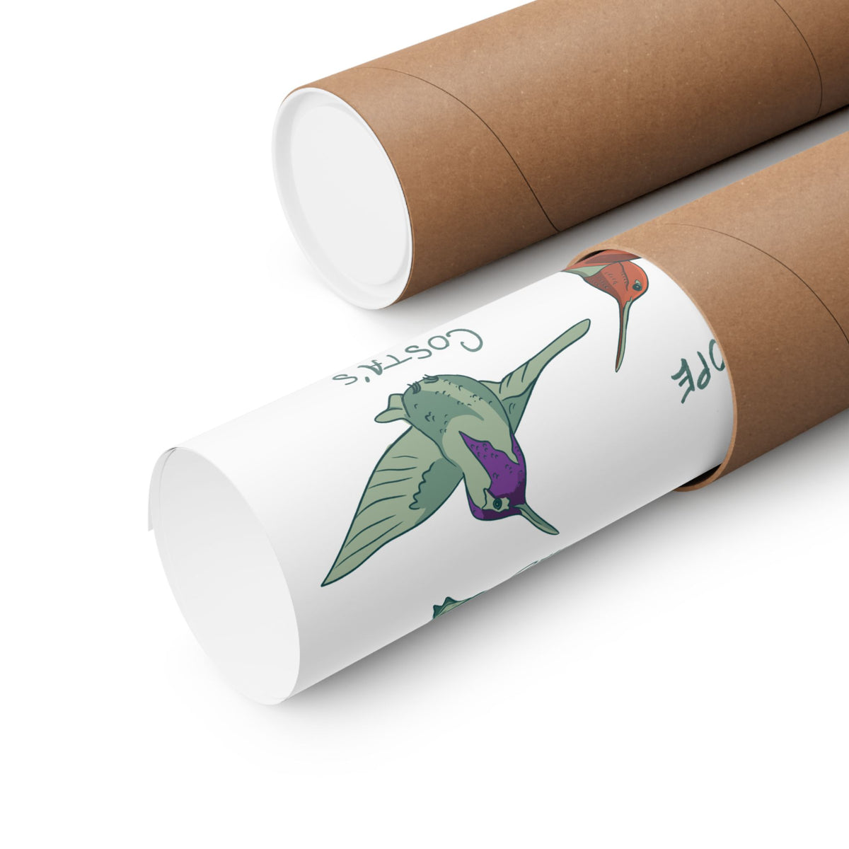 Hummingbird Art Print