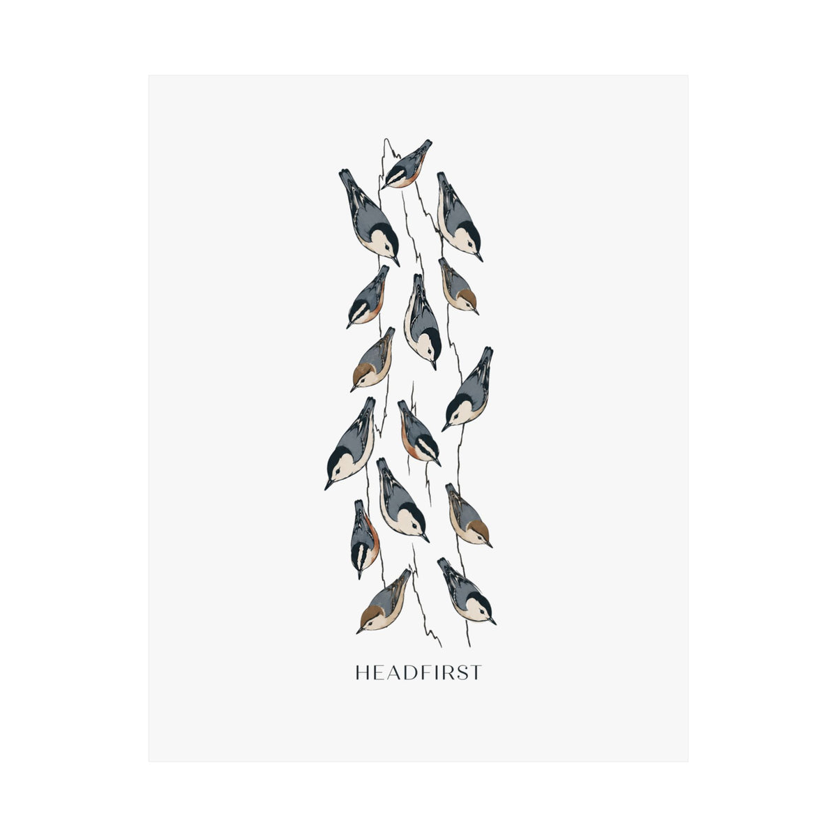 Headfirst Nuthatch Art Print