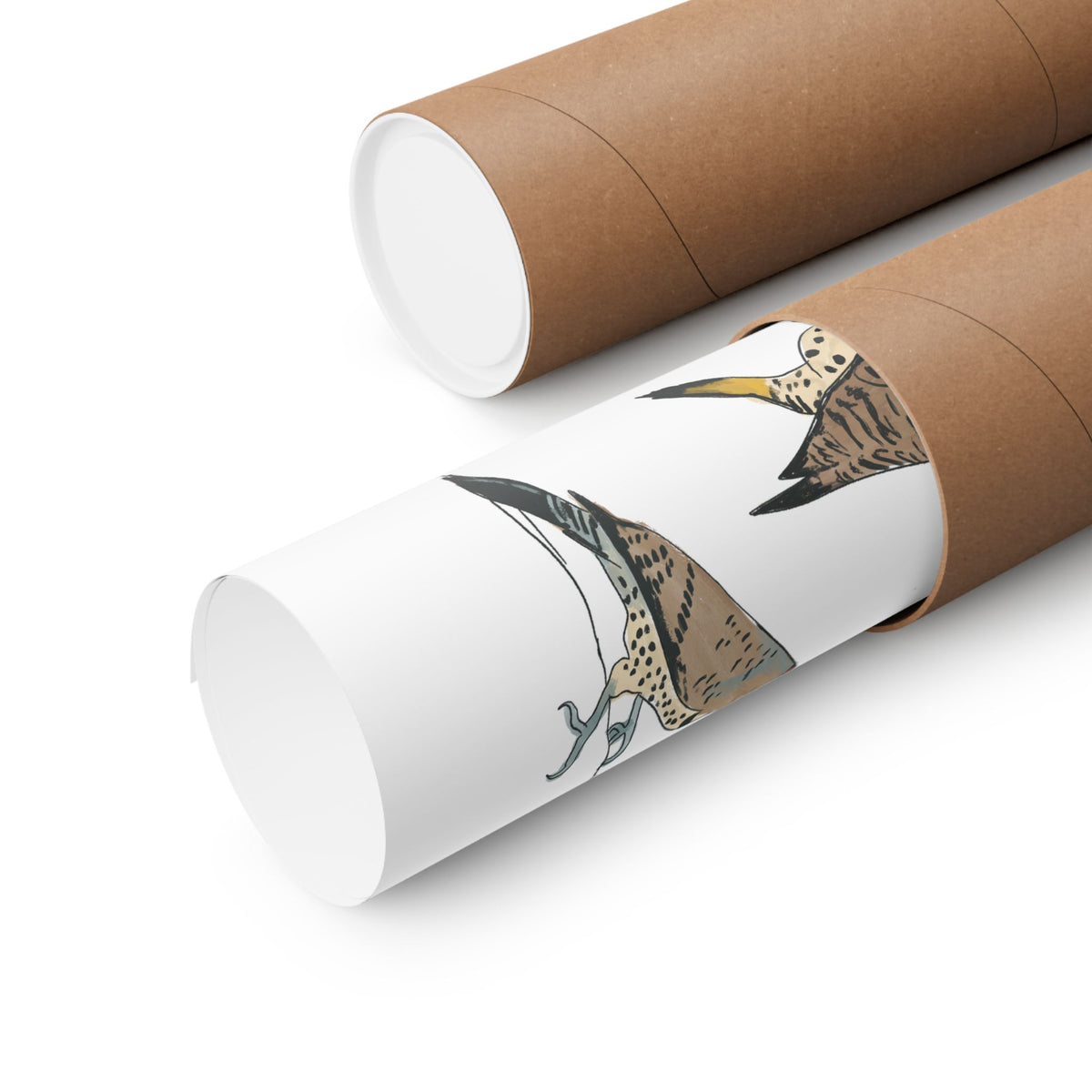 Northern Flicker Art Print