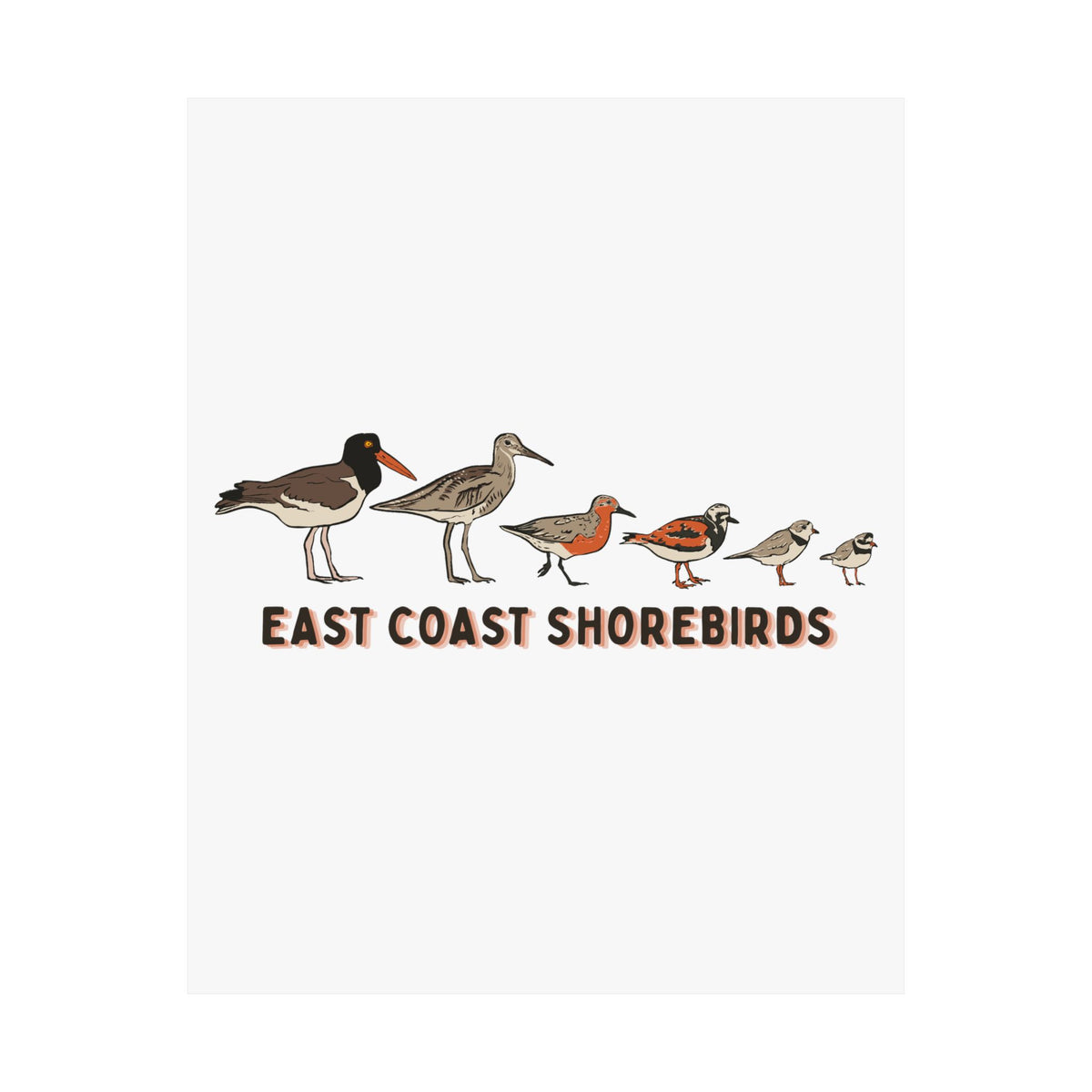East Coast Shorebirds Art Print