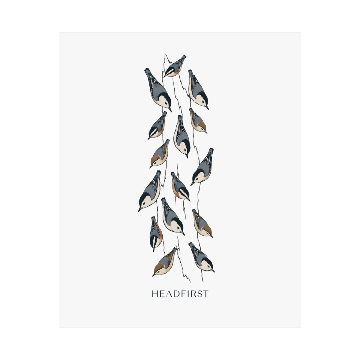 Headfirst Nuthatch Art Print