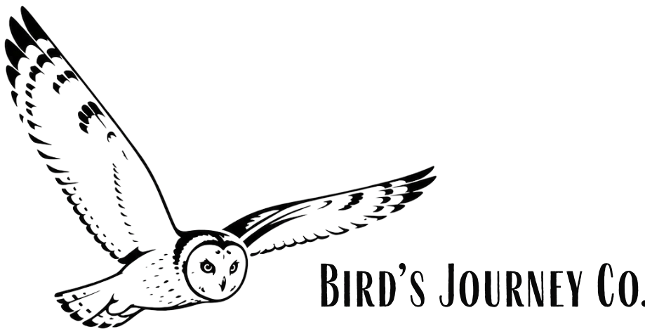 Bird’s Journey