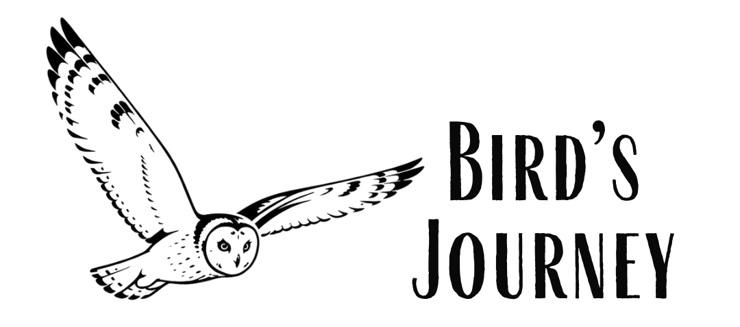 Bird’s Journey