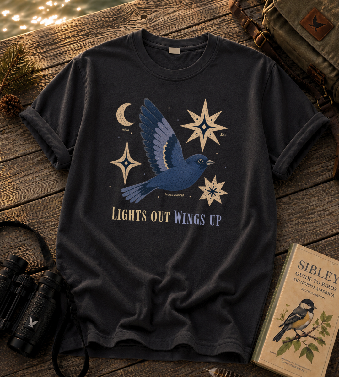 Lights Out Wings Up T Shirt