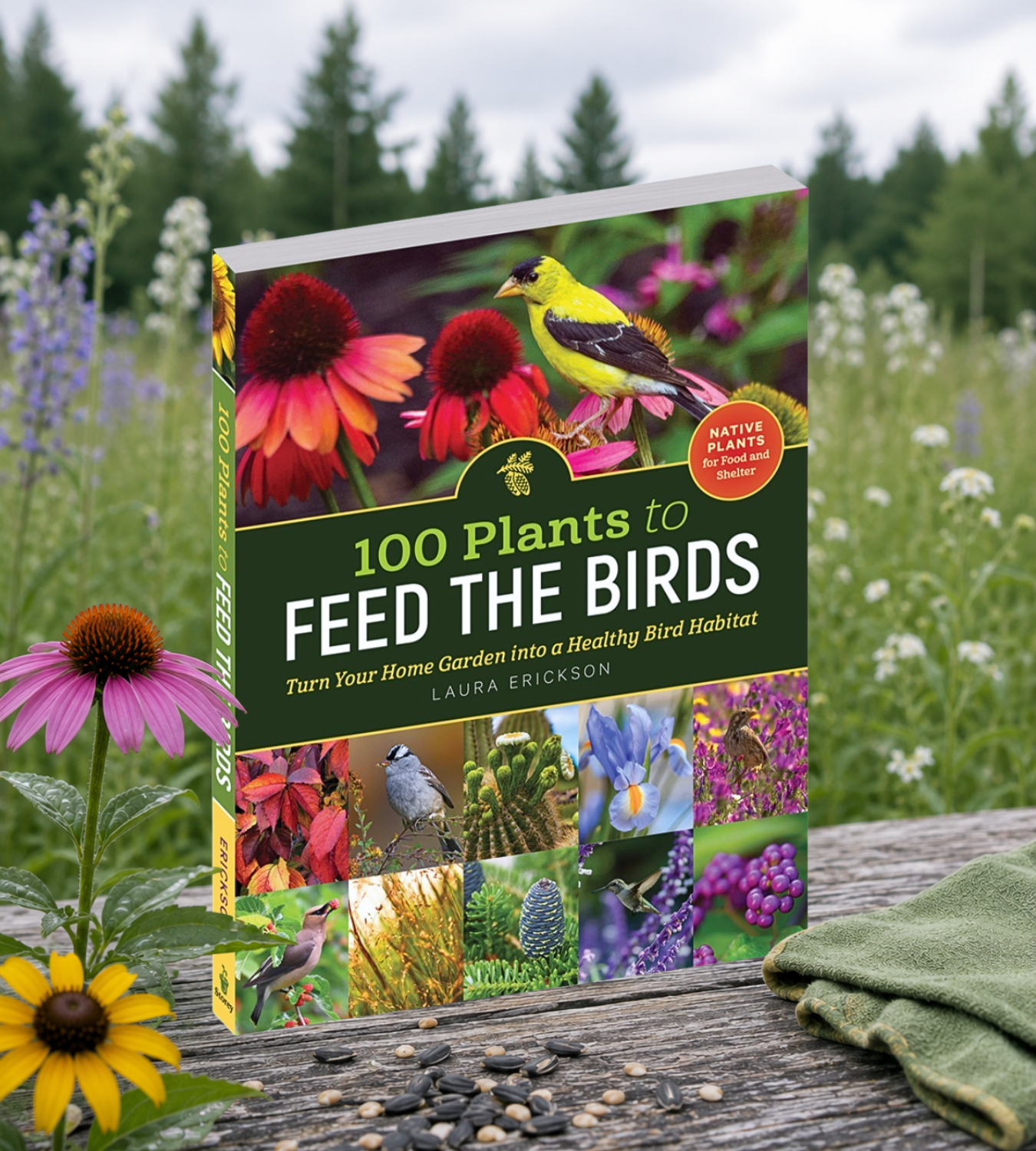 100 Plants to Feed the Birds - Paperback