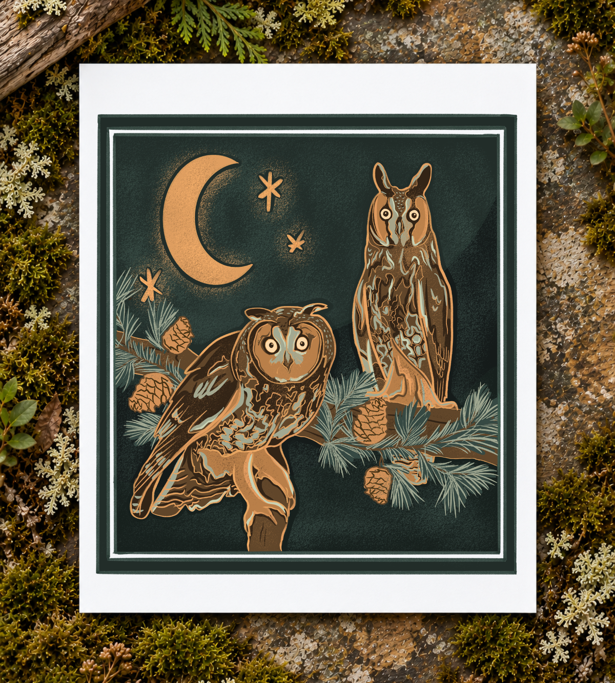 Moonlit Long-eared Owl Art Print