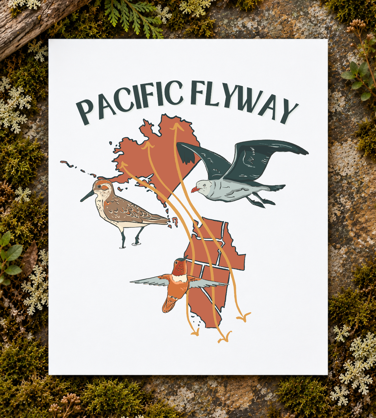 Pacific Flyway Art Print