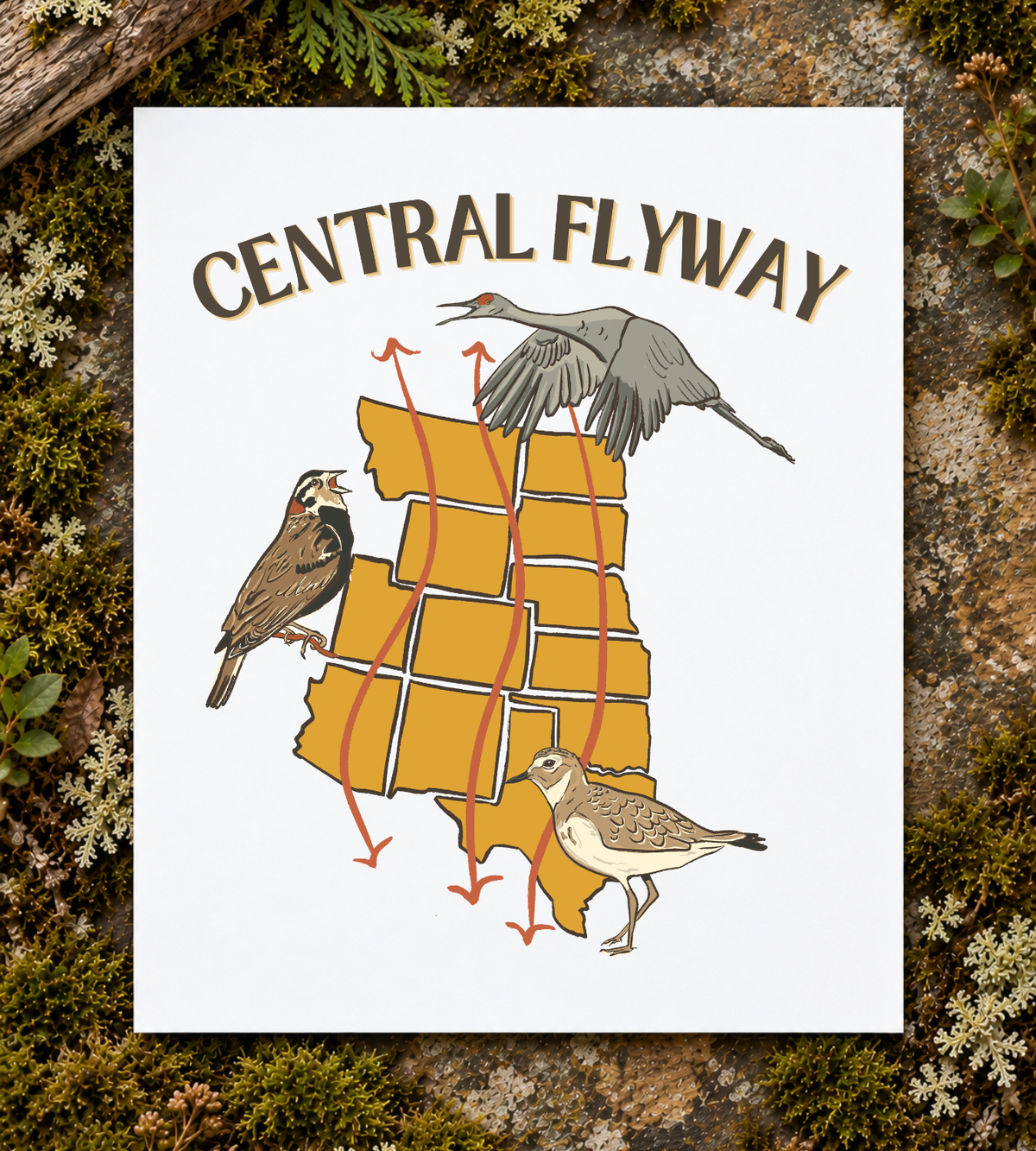 Central Flyway Art Print