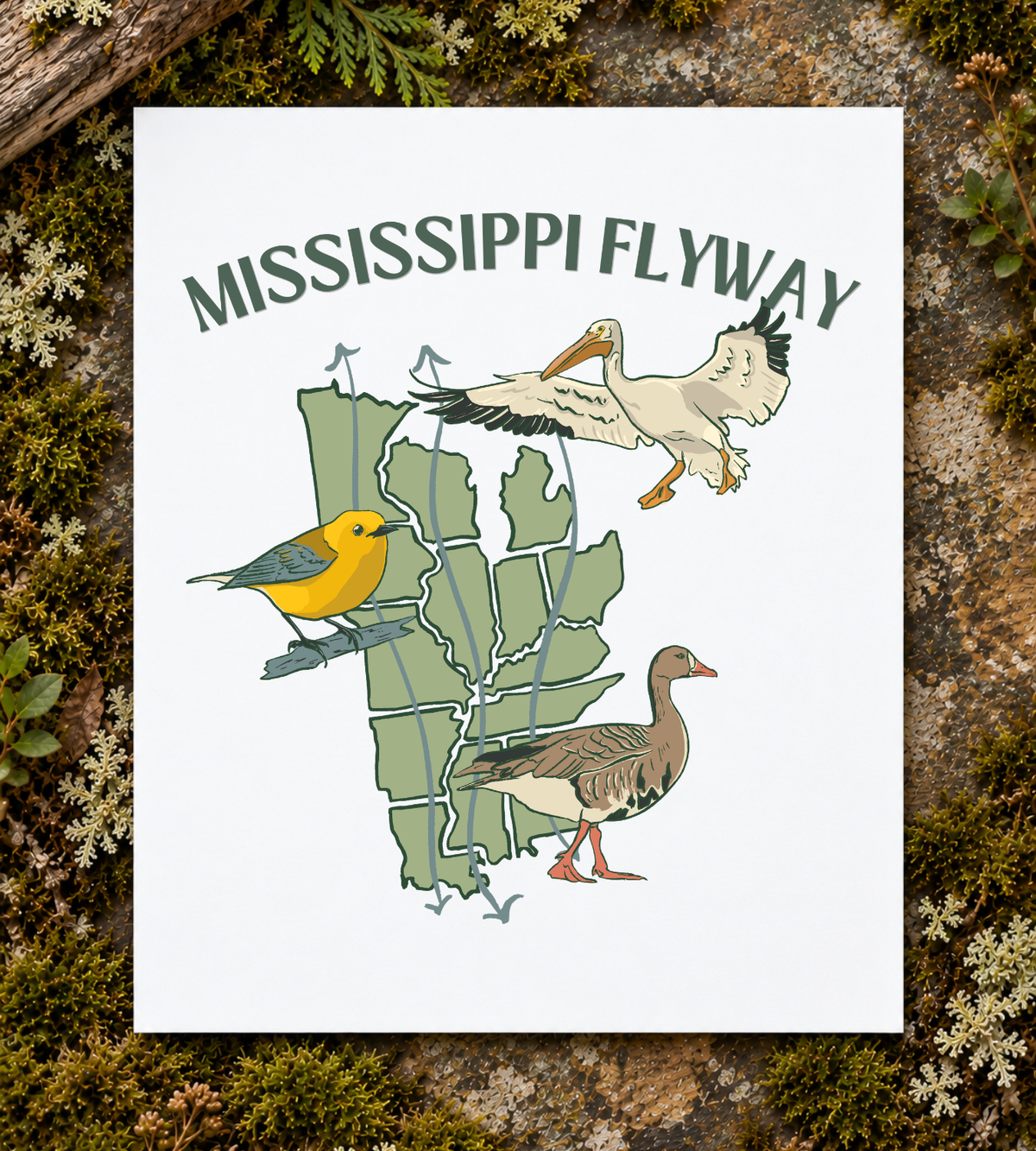 Mississippi Flyway Art Print