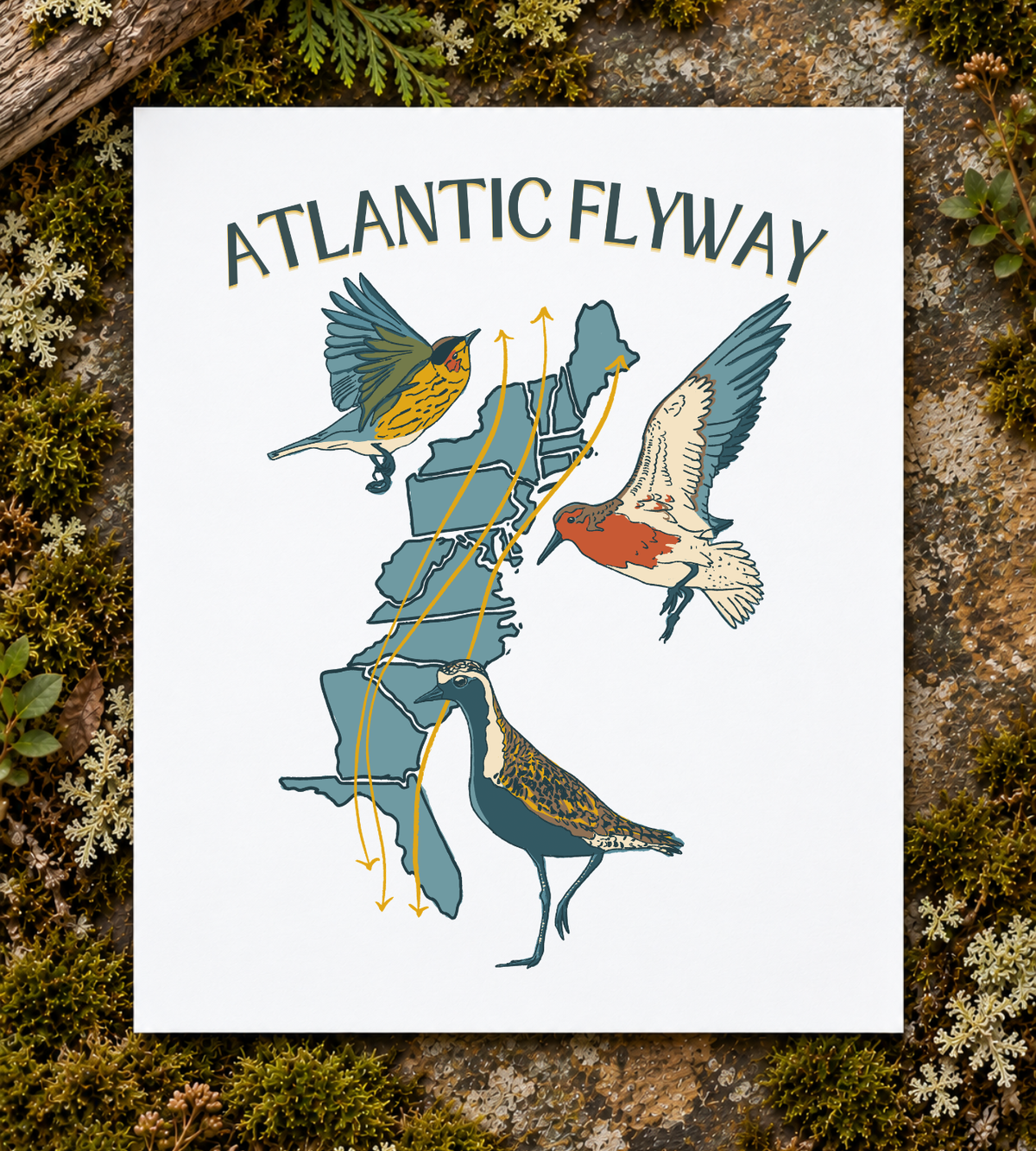 Atlantic Flyway Art Print