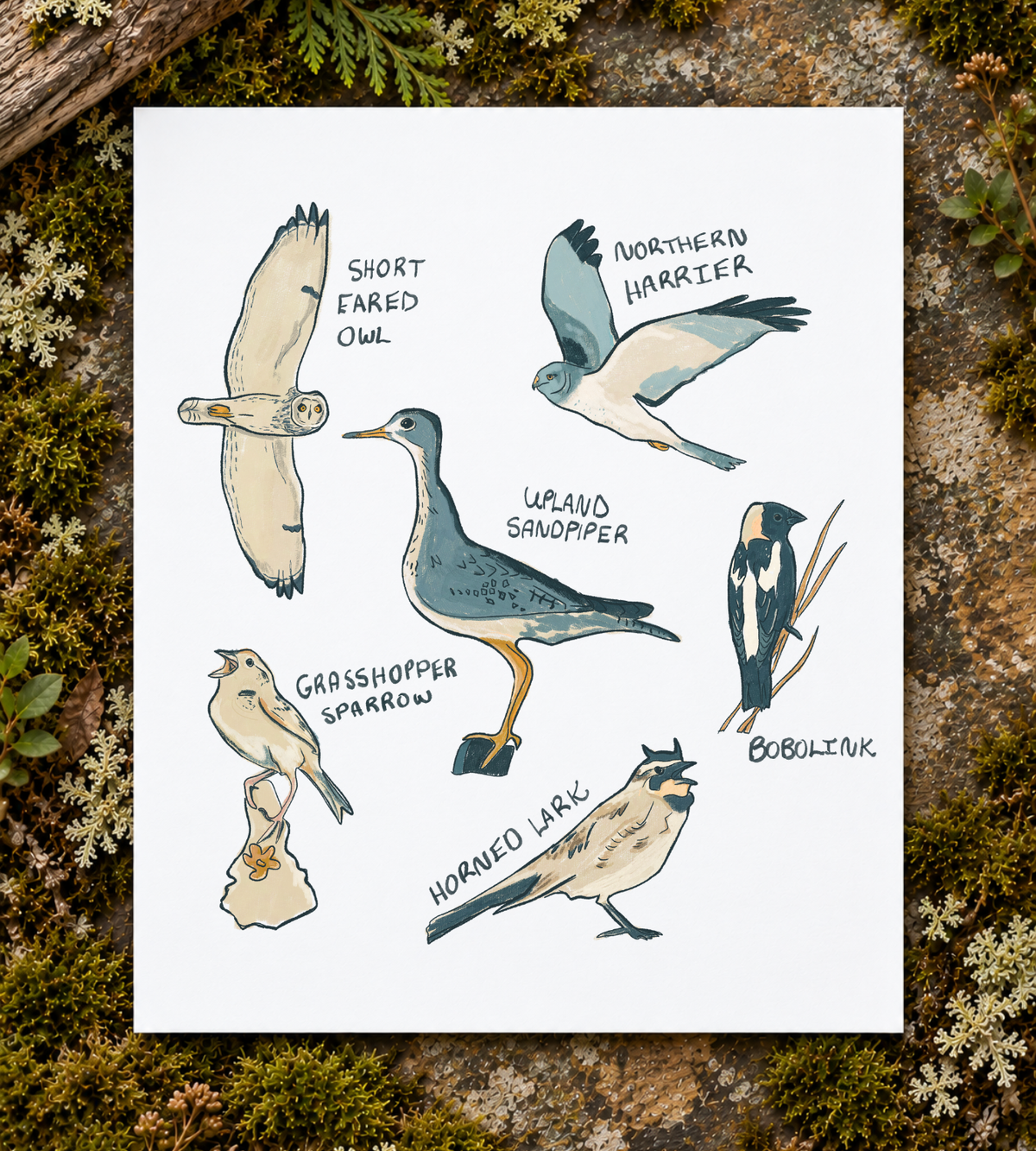 Grassland Birds Art Print