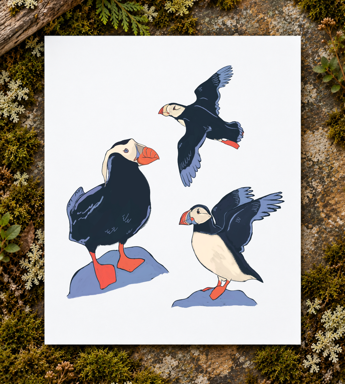 Puffin Trio Art Print