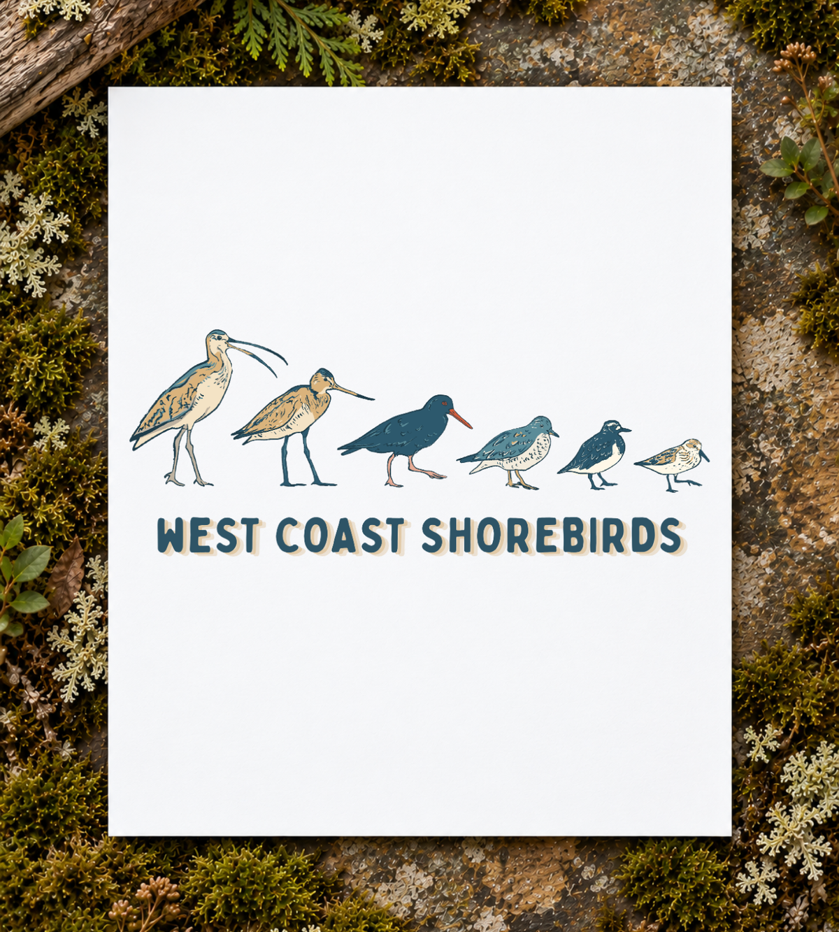 West Coast Shorebirds Art Print