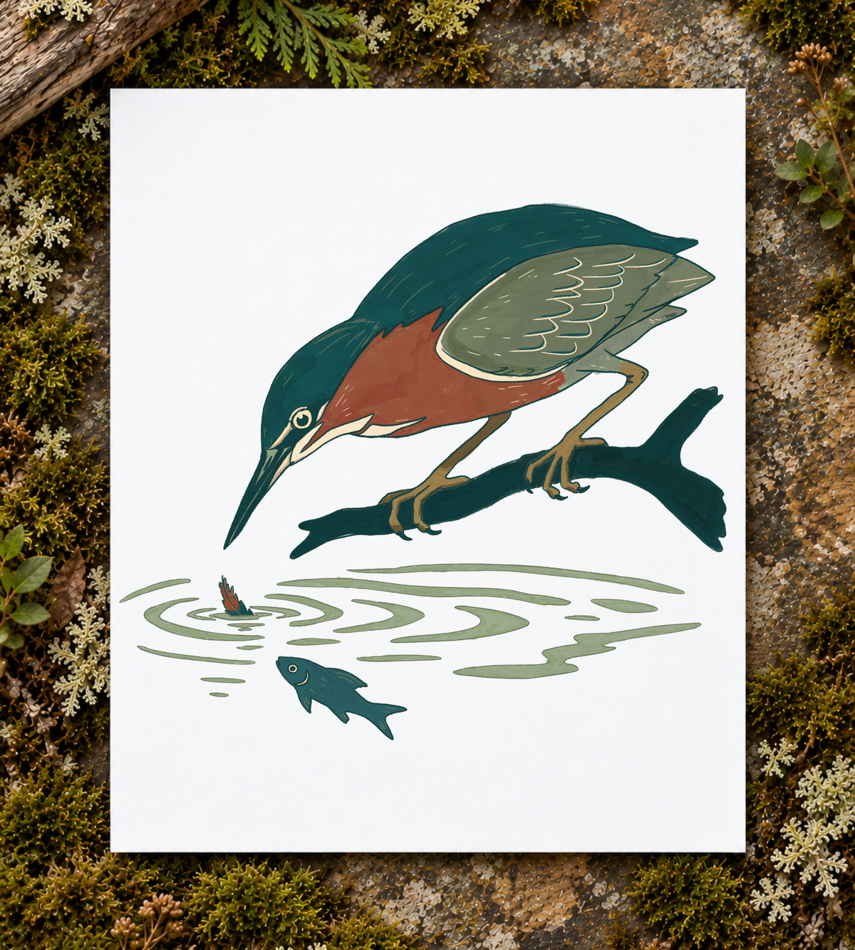 Green Heron Art Print