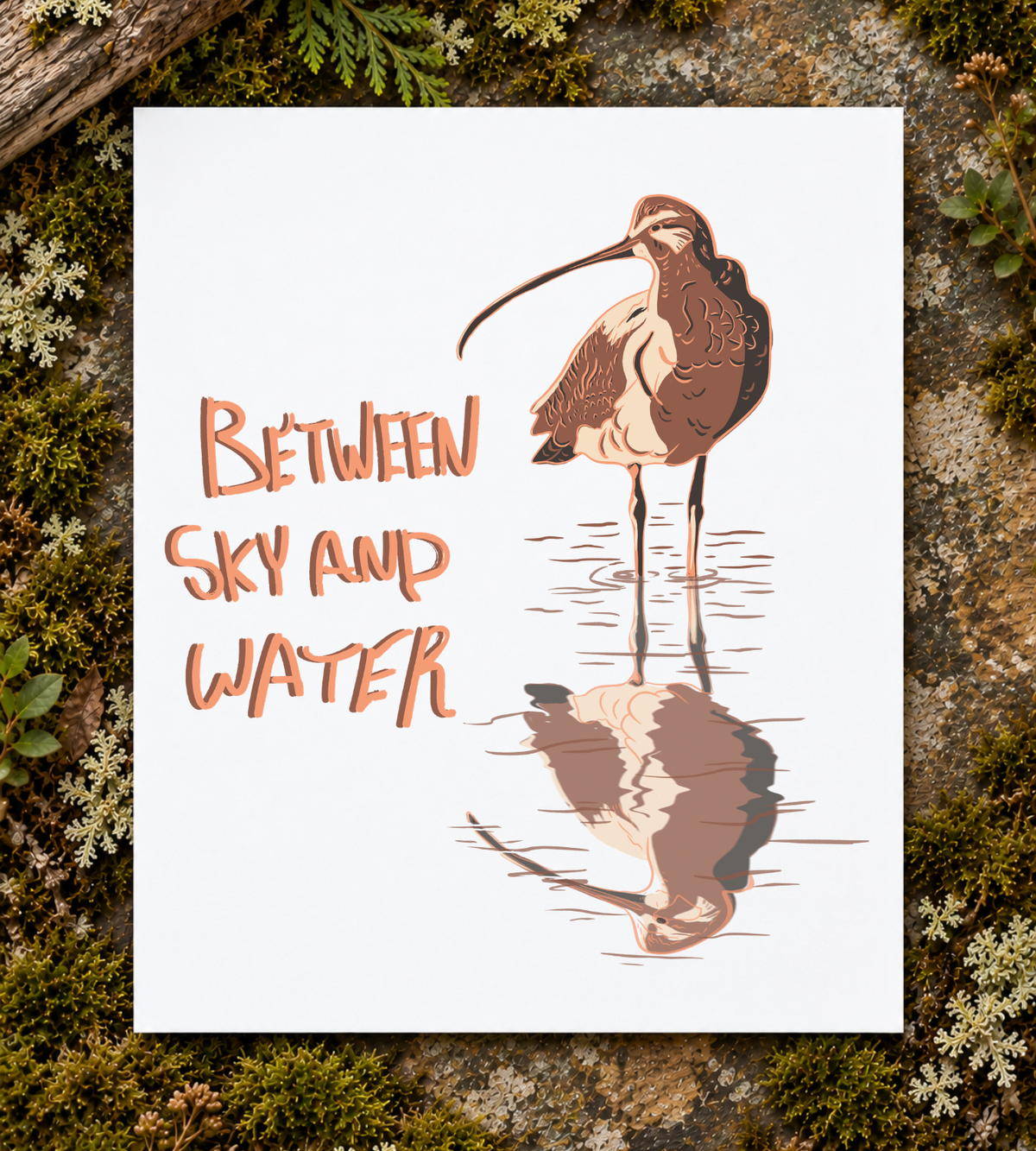Long-billed Curlew Art Print
