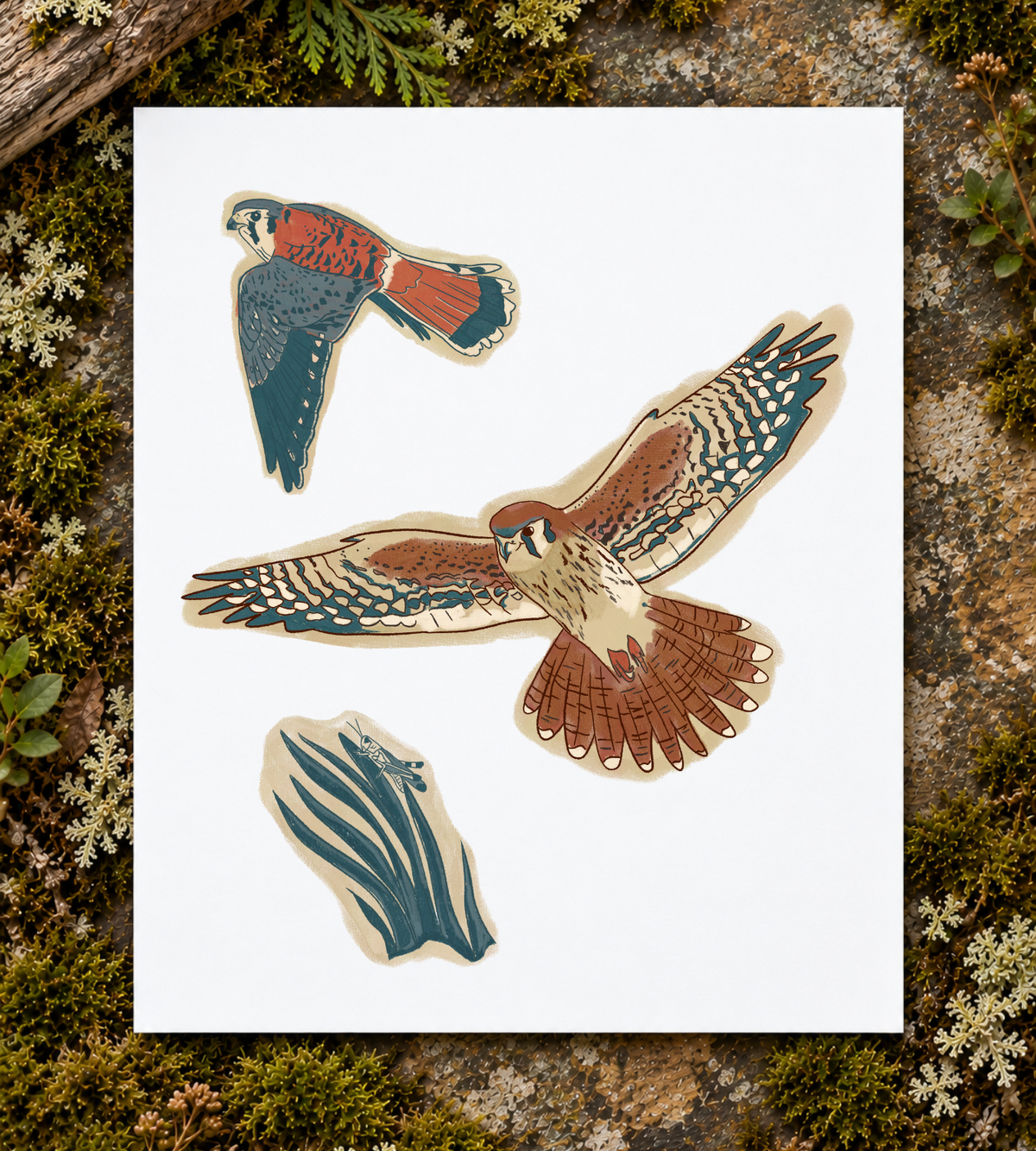 Kestrel Hunt Art Print