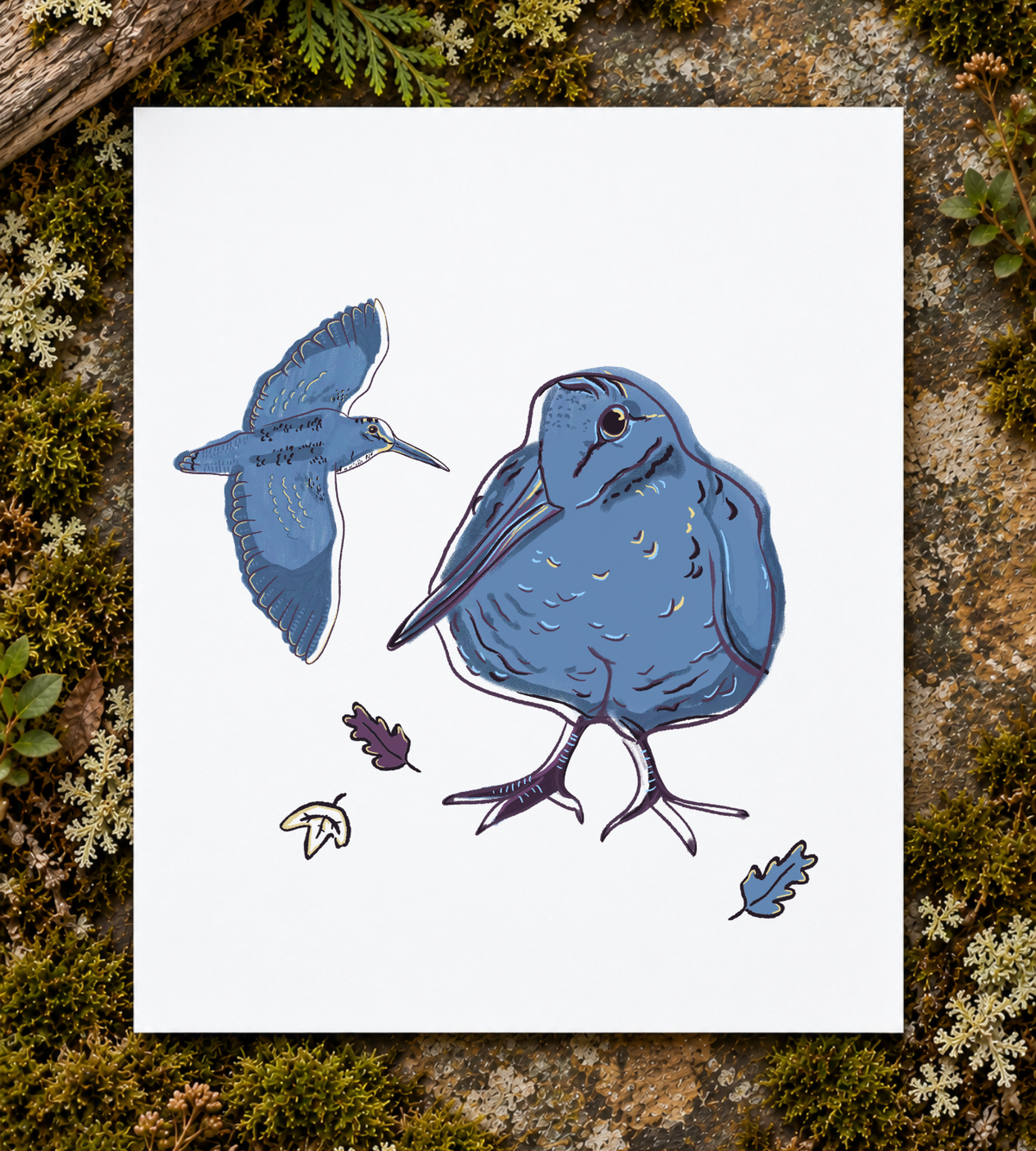 Timberdoodle Art Print