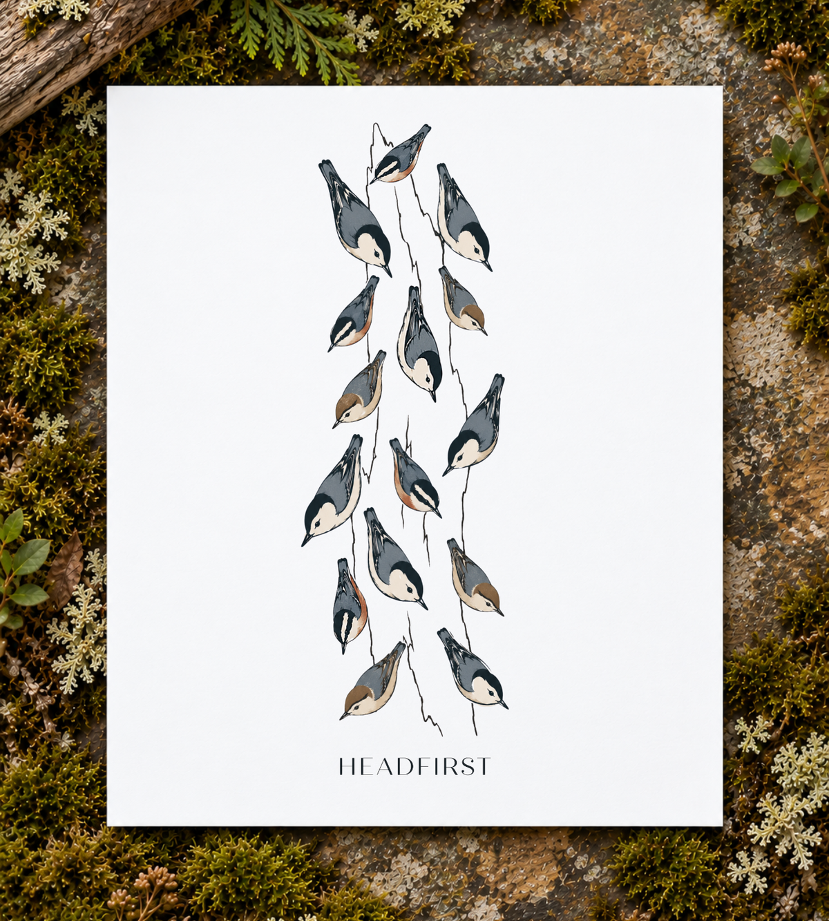 Headfirst Nuthatch Art Print