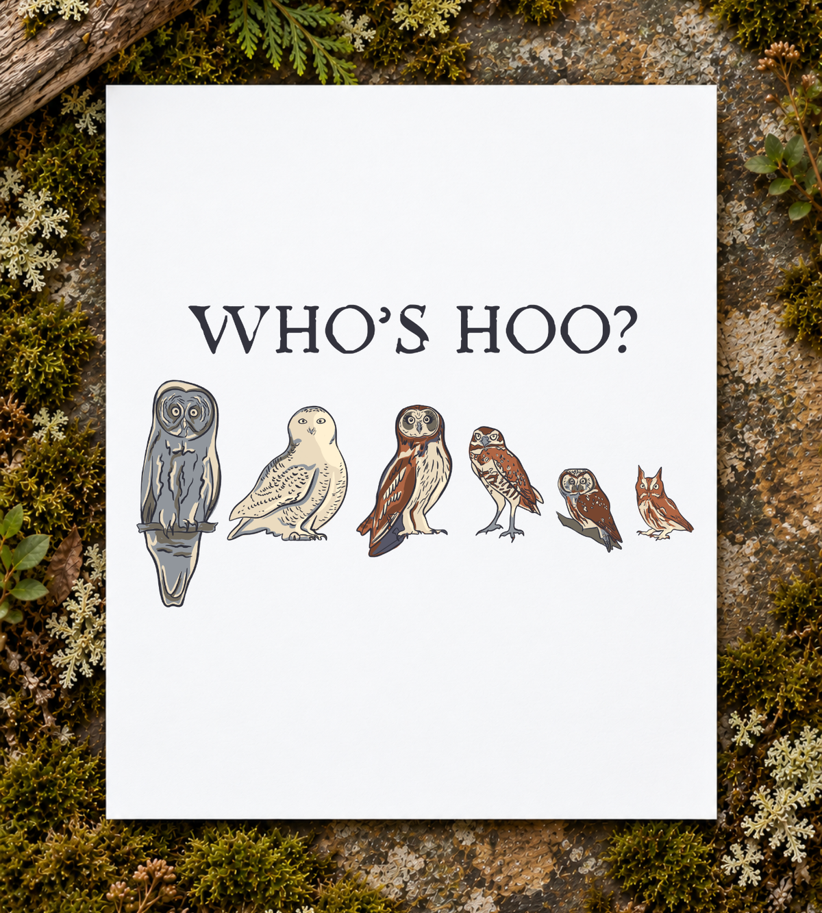 Who’s Hoo? Art Print