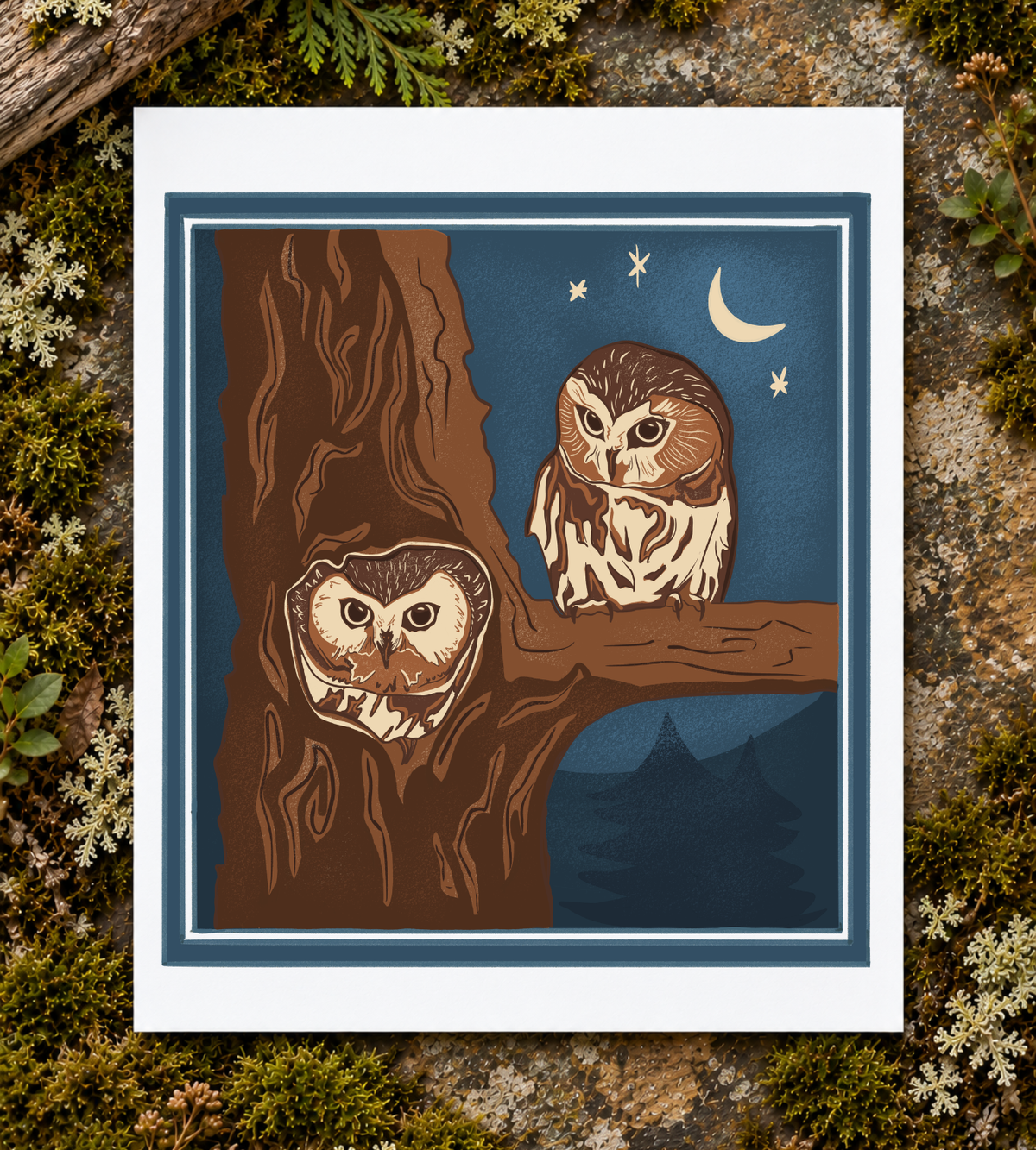 Northern Saw-whet Owl Art Print